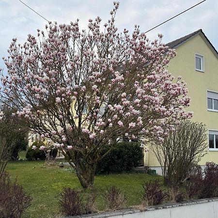 W&P Living Wohnung Mit Ausblick - Parkplatz Biberbach  Exterior foto
